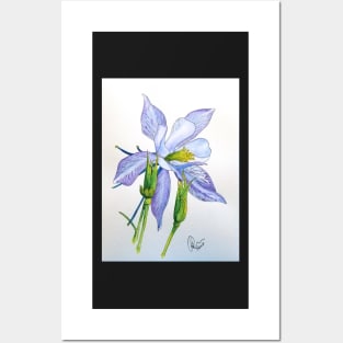Columbine 1 Posters and Art